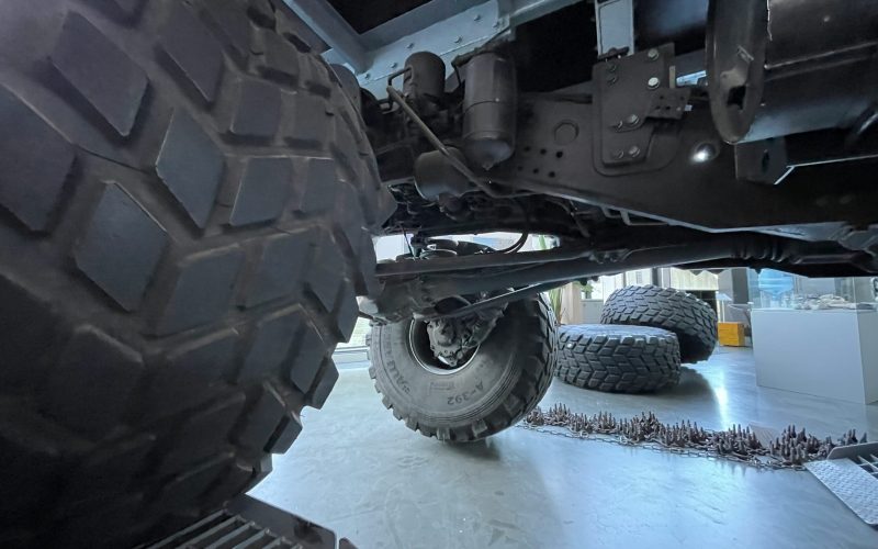 bernd-dittrich-1gx1XR2lPdQ-unsplash